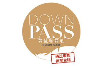 DOWNPASS認(rèn)證